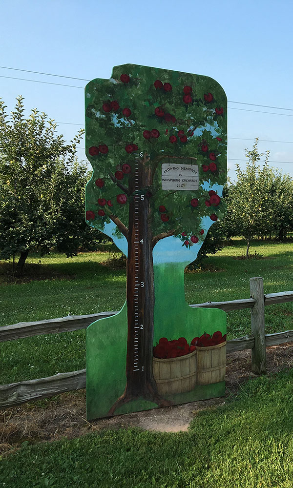 whispering orchards height measure for children